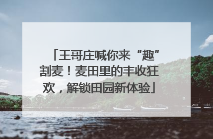 王哥庄喊你来“趣”割麦！麦田里的丰收狂欢，解锁田园新体验