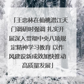王忠林在仙桃潜江天门调研时强调 扎实开展深入贯彻中央八项规定精神学习教育 以作风建设新成效加快推动高质量发展