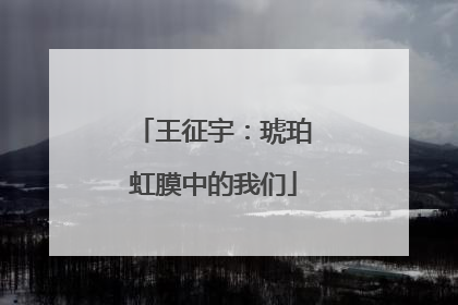 王征宇：琥珀虹膜中的我们