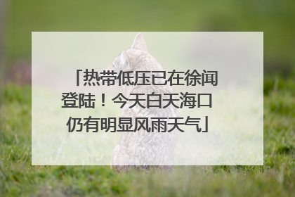 热带低压已在徐闻登陆！今天白天海口仍有明显风雨天气