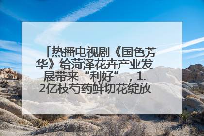 热播电视剧《国色芳华》给菏泽花卉产业发展带来“利好”，1.2亿枝芍药鲜切花绽放“国色芳华”