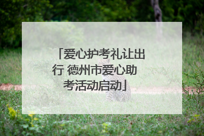 爱心护考礼让出行 德州市爱心助考活动启动