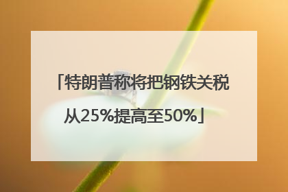 特朗普称将把钢铁关税从25%提高至50%