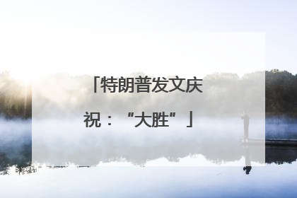 特朗普发文庆祝：“大胜”