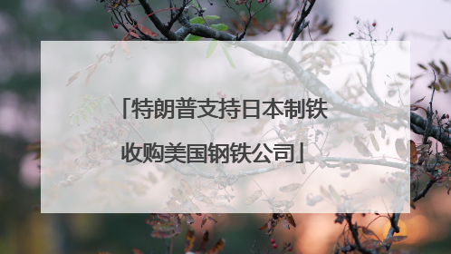 特朗普支持日本制铁收购美国钢铁公司
