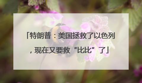 特朗普：美国拯救了以色列，现在又要救“比比”了
