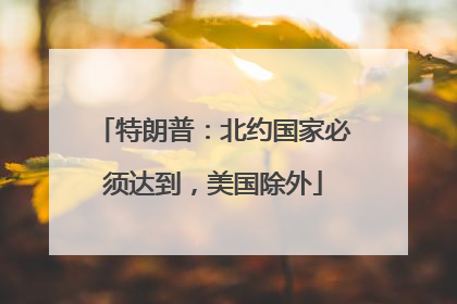 特朗普：北约国家必须达到，美国除外