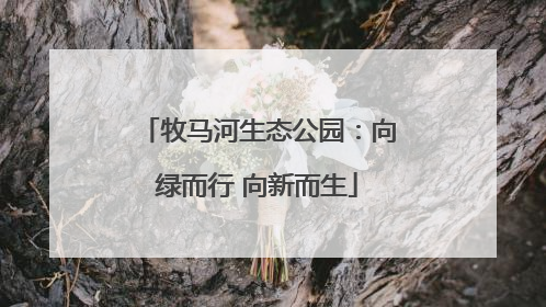 牧马河生态公园：向绿而行 向新而生