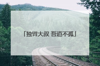 独臂大叔 吾道不孤