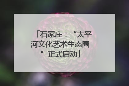 石家庄：“太平河文化艺术生态圈”正式启动
