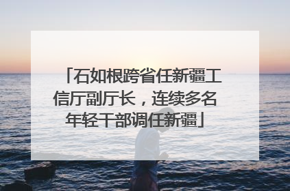 石如根跨省任新疆工信厅副厅长，连续多名年轻干部调任新疆