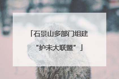 石景山多部门组建“护未大联盟”