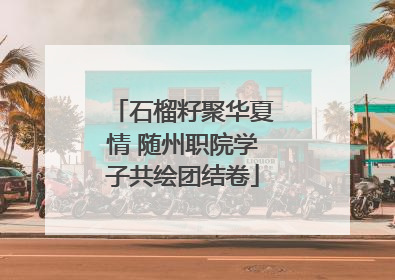 石榴籽聚华夏情 随州职院学子共绘团结卷