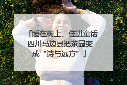 睡在树上、住进童话 四川马边县把茶园变成“诗与远方”