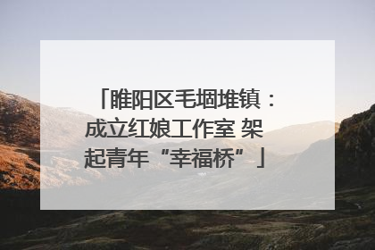 睢阳区毛堌堆镇：成立红娘工作室 架起青年“幸福桥”