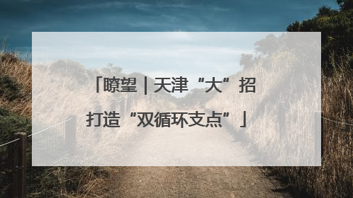 瞭望｜天津“大”招打造“双循环支点”