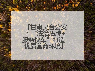 甘肃灵台公安：“法治盾牌+服务快车”打造优质营商环境