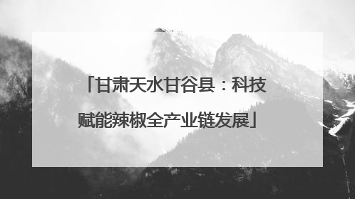 甘肃天水甘谷县：科技赋能辣椒全产业链发展