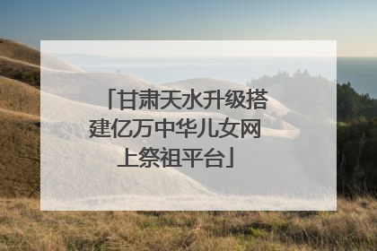 甘肃天水升级搭建亿万中华儿女网上祭祖平台