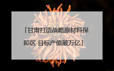 甘肃打造战略原材料保障区 目标产值破万亿