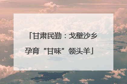 甘肃民勤：戈壁沙乡孕育“甘味”领头羊