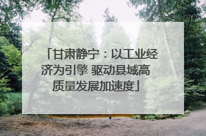 甘肃静宁：以工业经济为引擎 驱动县域高质量发展加速度