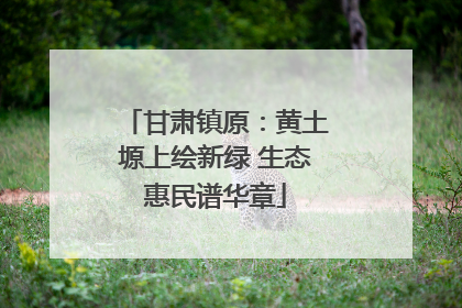 甘肃镇原：黄土塬上绘新绿 生态惠民谱华章