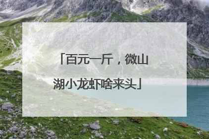 百元一斤，微山湖小龙虾啥来头