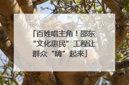 百姓唱主角！邵东“文化惠民”工程让群众“嗨”起来