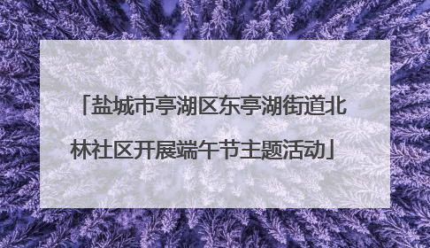 盐城市亭湖区东亭湖街道北林社区开展端午节主题活动