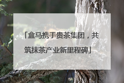 盒马携手贵茶集团，共筑抹茶产业新里程碑