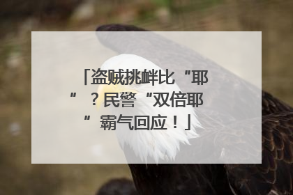 盗贼挑衅比“耶”？民警“双倍耶”霸气回应！
