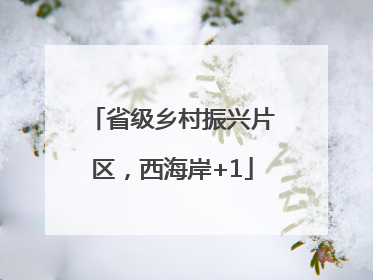 省级乡村振兴片区，西海岸+1