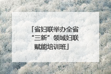 省妇联举办全省“三新”领域妇联赋能培训班