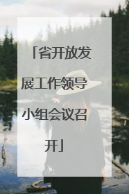 省开放发展工作领导小组会议召开