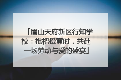 眉山天府新区行知学校：枇杷橙黄时，共赴一场劳动与爱的盛宴