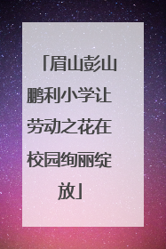 眉山彭山鹏利小学让劳动之花在校园绚丽绽放