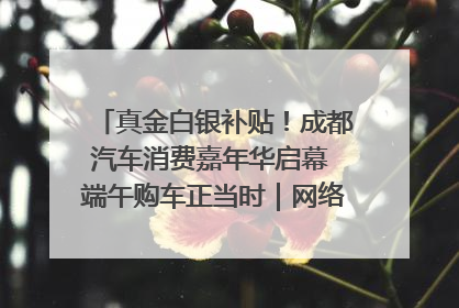 真金白银补贴！成都汽车消费嘉年华启幕 端午购车正当时｜网络中国节·端午