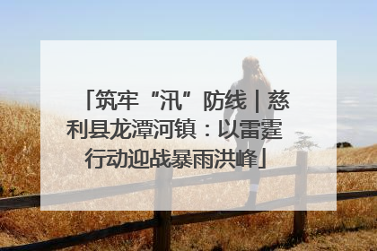 筑牢“汛”防线｜慈利县龙潭河镇：以雷霆行动迎战暴雨洪峰