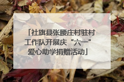 社旗县张腰庄村驻村工作队开展庆“六一”爱心助学捐赠活动