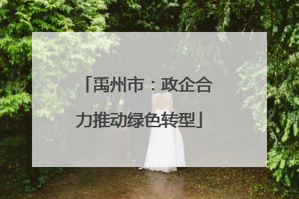 禹州市：政企合力推动绿色转型