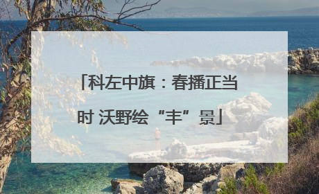 科左中旗：春播正当时 沃野绘“丰”景