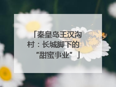 秦皇岛王汉沟村：长城脚下的“甜蜜事业”