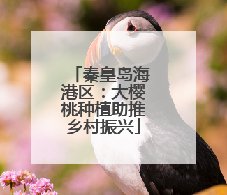 秦皇岛海港区：大樱桃种植助推乡村振兴