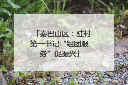 秦巴山区：驻村第一书记“组团服务”促振兴