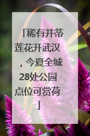 稀有并蒂莲花开武汉，今夏全城28处公园点位可赏荷