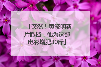 突然！黄晓明新片撤档，他为这部电影增肥30斤