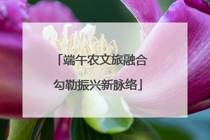 端午农文旅融合 勾勒振兴新脉络