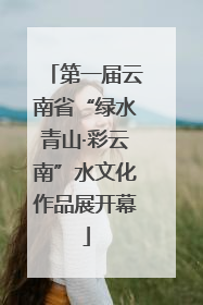 第一届云南省“绿水青山·彩云南”水文化作品展开幕