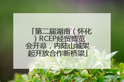 第二届湖南（怀化）RCEP经贸博览会开幕，内陆山城架起开放合作新桥梁